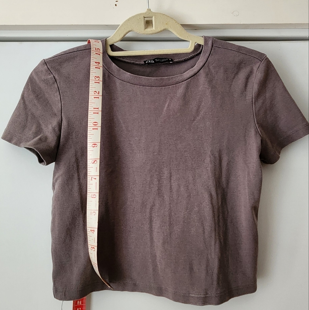 Purple Short Sleeve T-Shirt